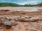 Projeto para salvar o rio Doce. Sebastião Salgado tenta criar fundo para recuperar nascentes; custo é de R$ 5 bilhões