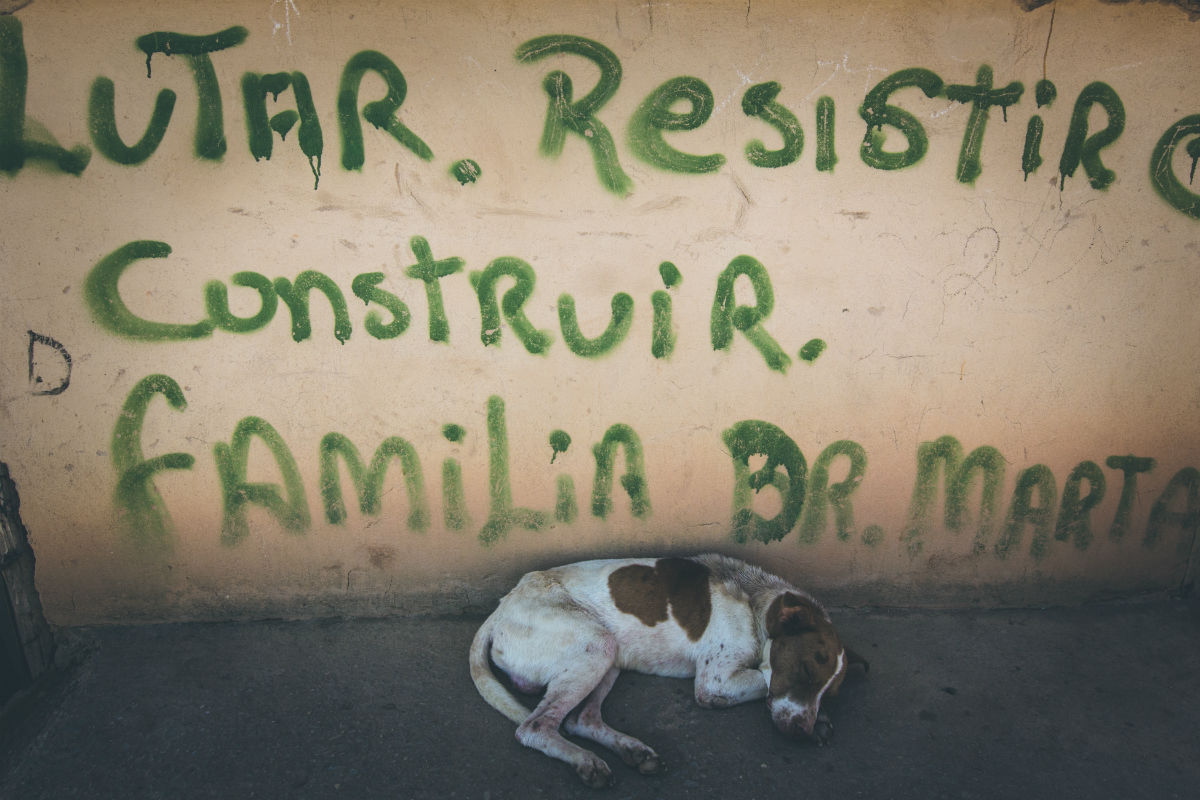 CACHORRO_IZIDORA.jpg