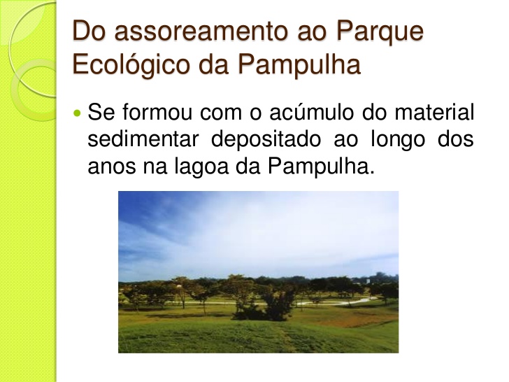 anexoquaoquaroquaroquaro.jpg