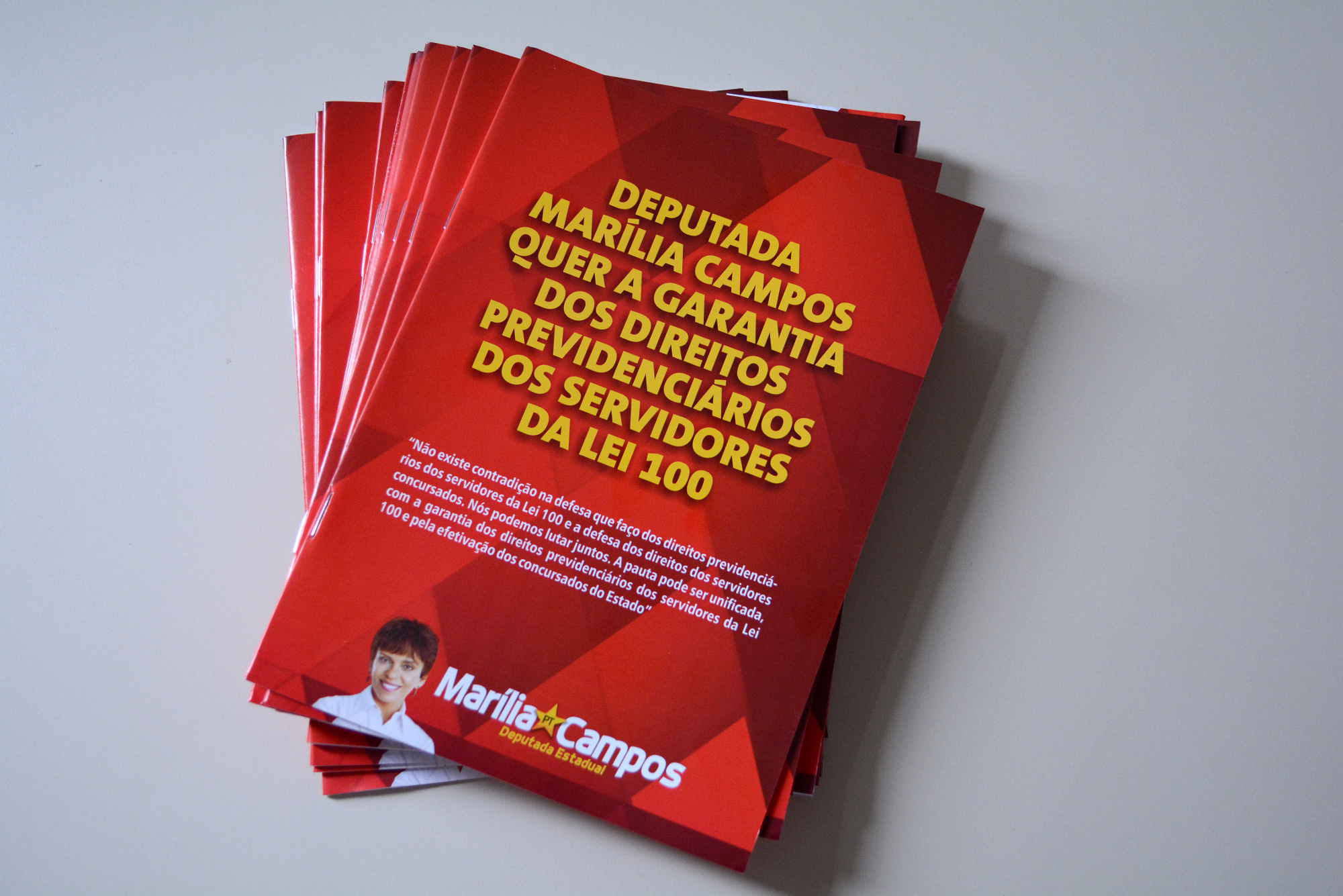 capa_lei_100.jpg