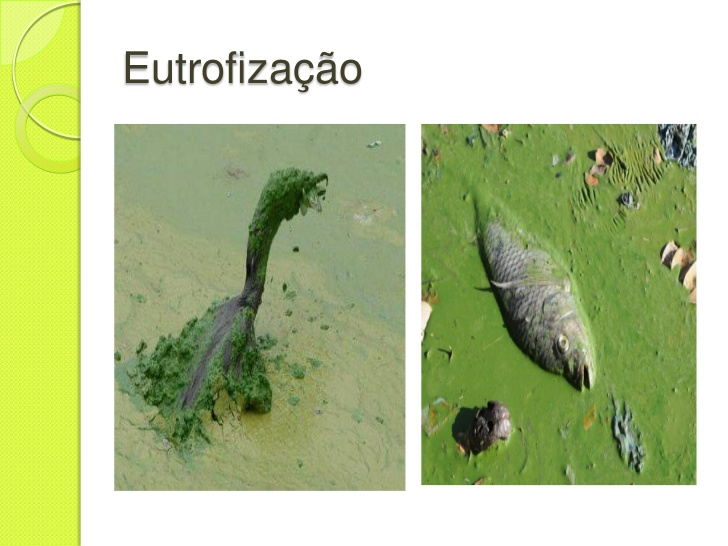 eufro02.png